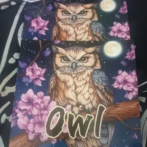 2-(Brand New) Owl Art Print with Pink Flowers